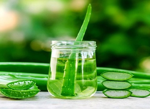 تصویر 3 از قیمت خرید ژل گیاه آلوئه ورا + فروش ویژه